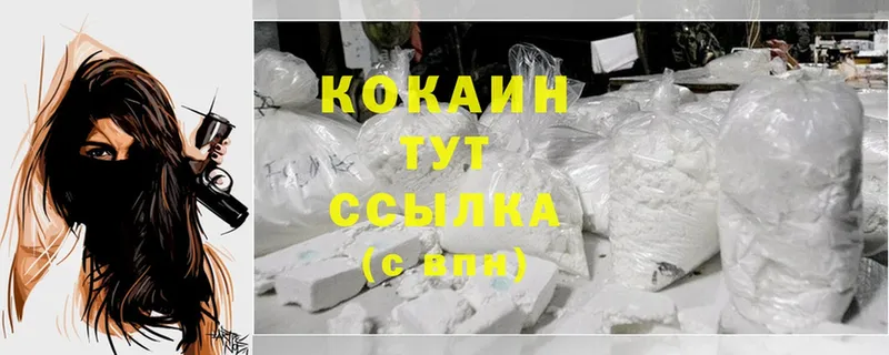 Кокаин FishScale  где продают   Краснослободск 